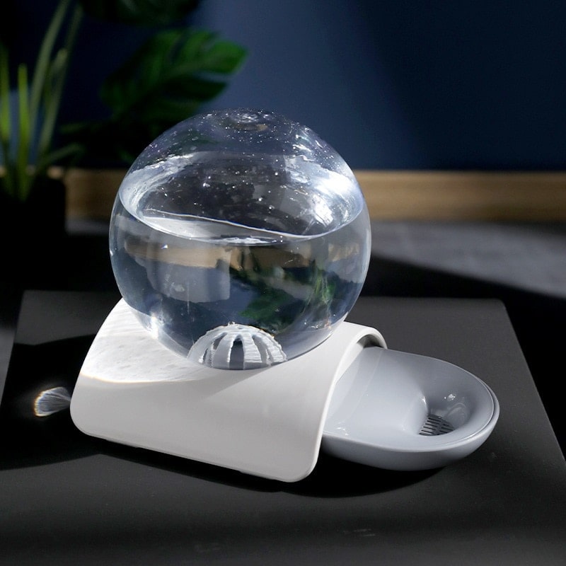 Présentation de notre fontaine bulle à eau pour chat