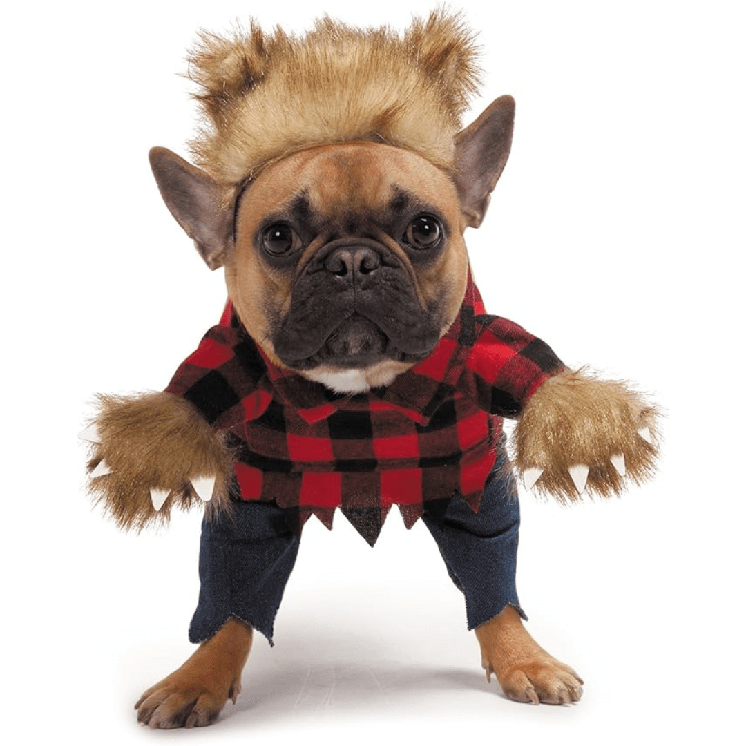 Déguisement bucheron pour chien et chat