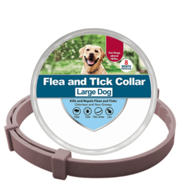 Collier anti-puces et anti-tiques café L pour chien