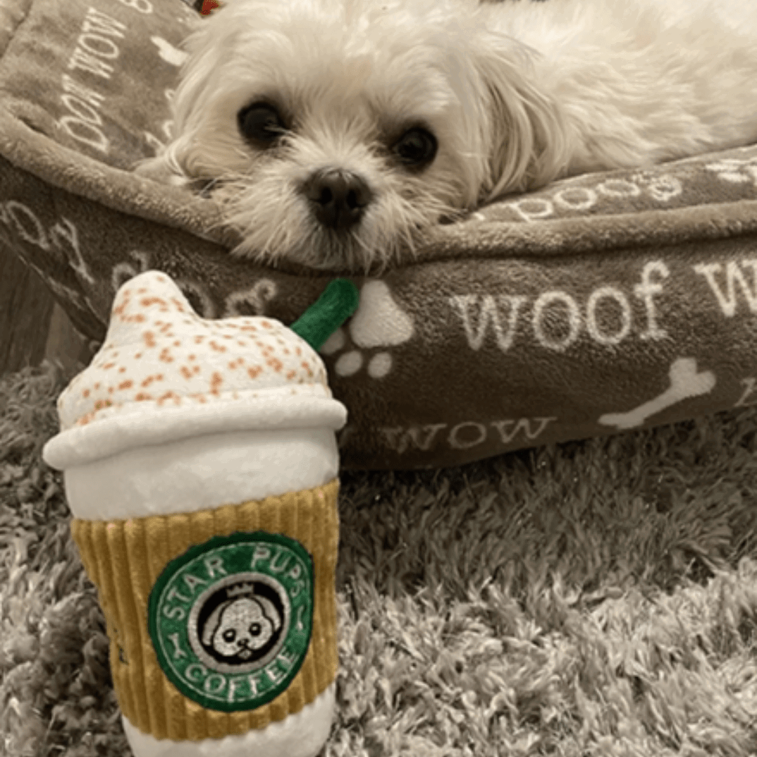 Peluche tasse à café pour chien