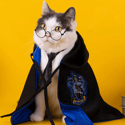 Chat avec notre cape Harry Potter Serdaigle