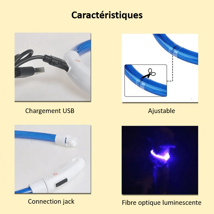 Caractéristiques de notre collier à LED pour chien