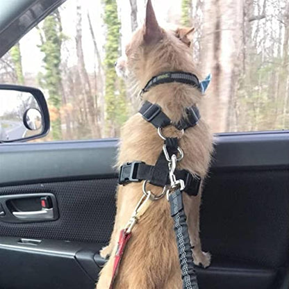 Laisse ceinture de sécurité voiture pour chien 
