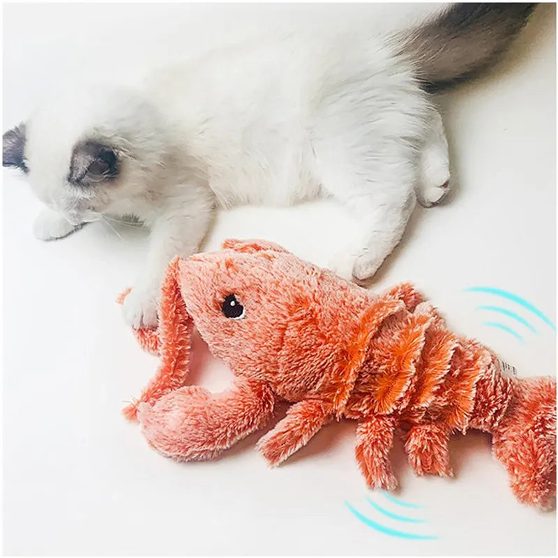 Chat avec notre jouet interactif écrevisse
