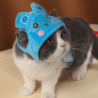 Chat avec notre chapeau en forme d'animal
