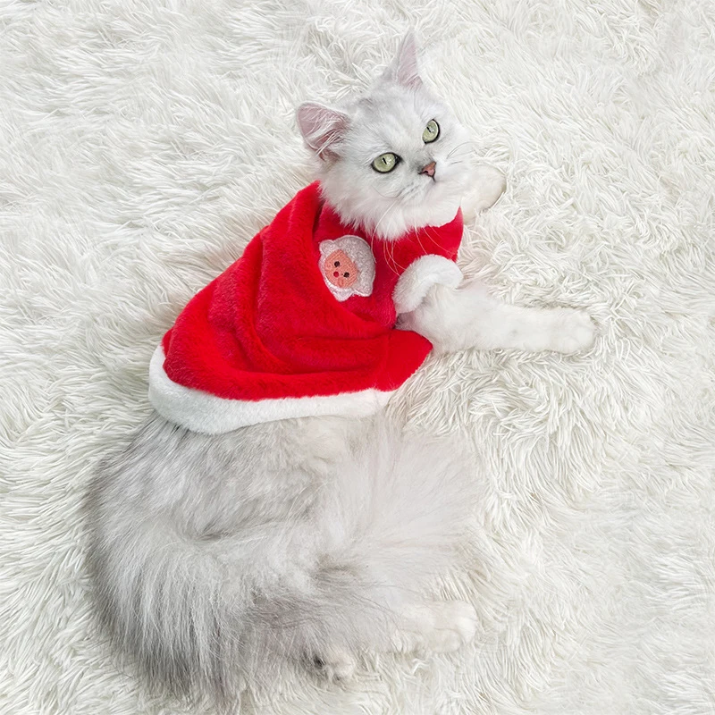 Pull doux et chaud rouge pour chat