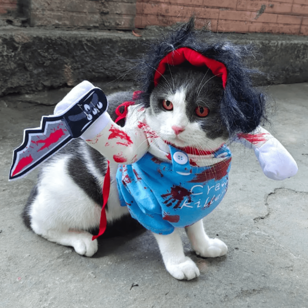 Déguisement chucky pour chat et chien