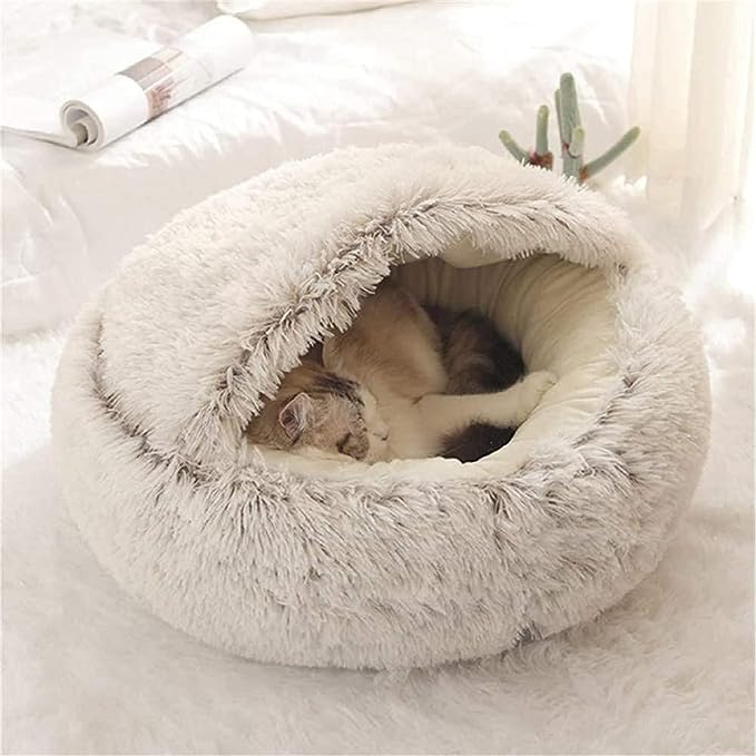Chat dans notre nid confortable et relaxant