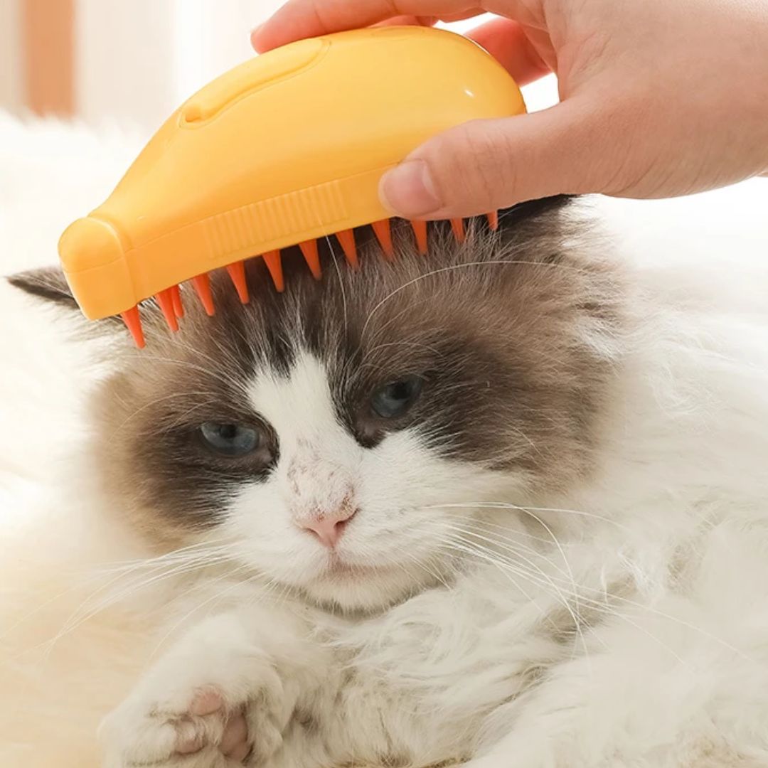 Brosse vapeur pour chat et chien