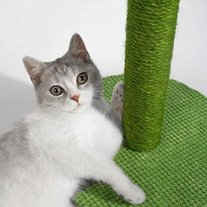 Griffoir pour chat en forme de cactus
