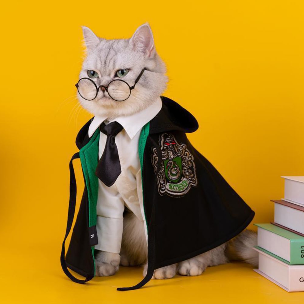 Chat avec notre cape Harry Potter Serpentard