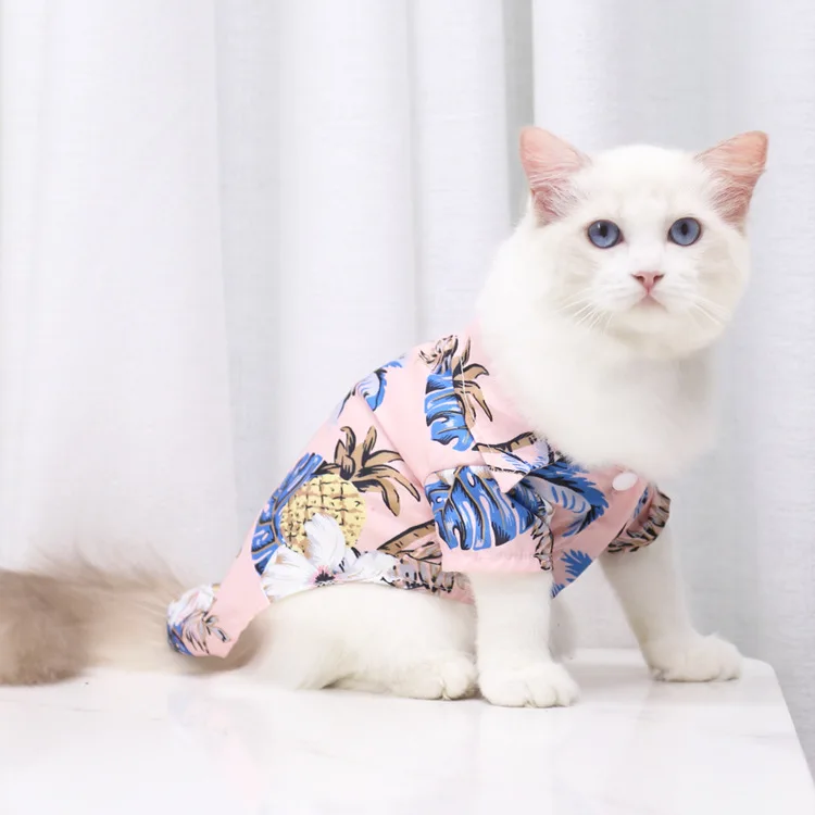 Chat avec notre chemise Hawaïenne rose