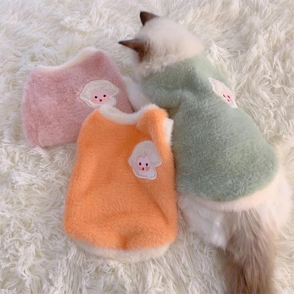 Collection de notre pull doux et chaud pour chat
