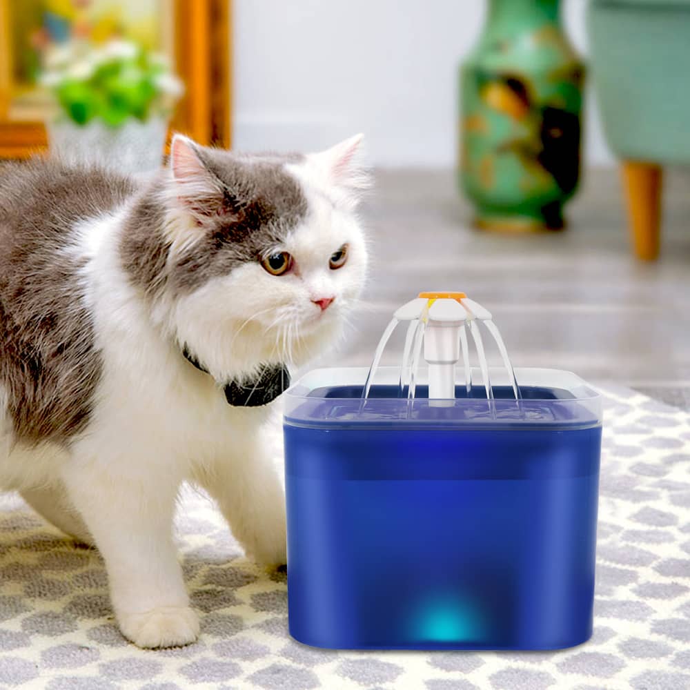 Fontaine à eau carrée bleue avec LED pour chat