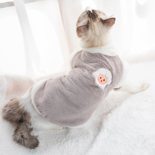 Pull doux et chaud pour chat