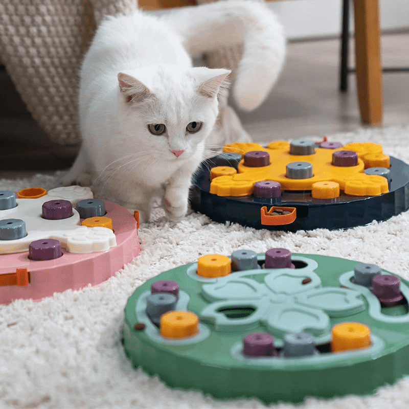 Chat avec notre puzzle anti-glouton