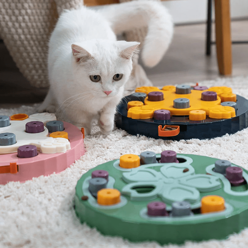 Chat qui utilise notre puzzle de fouille interactif