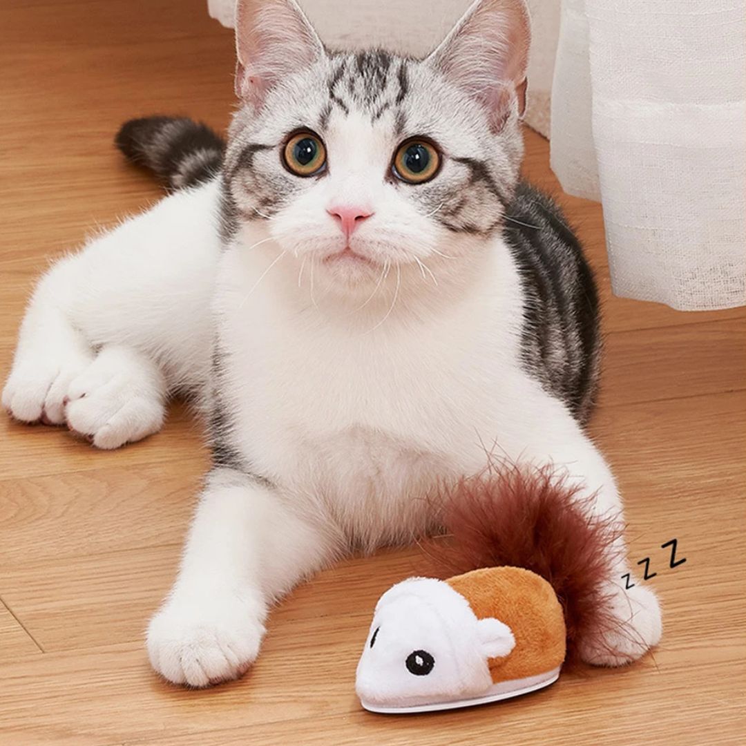 Spidi™ : Jouet souris interactive pour chat