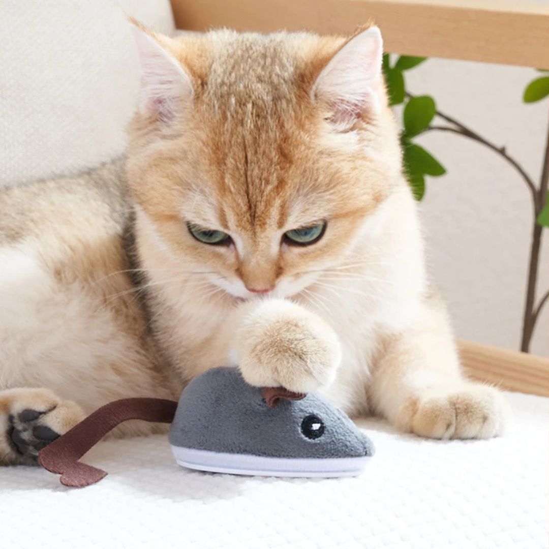 Spidi™ : Jouet souris interactive pour chat