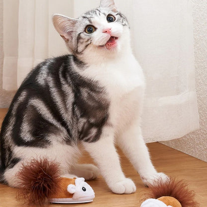 Chat avec notre souris interactive