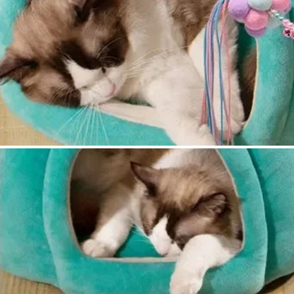 Chat dans notre ouchage confortable citrouille