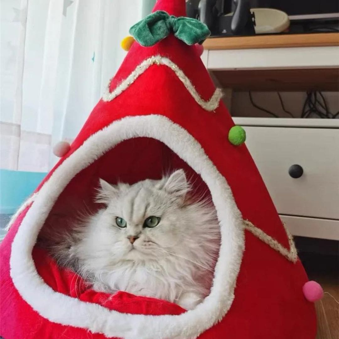 Chat dans notre couchage lit sapin de Noël