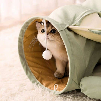 Chat dans un lit pliable avec tunnel pour chat