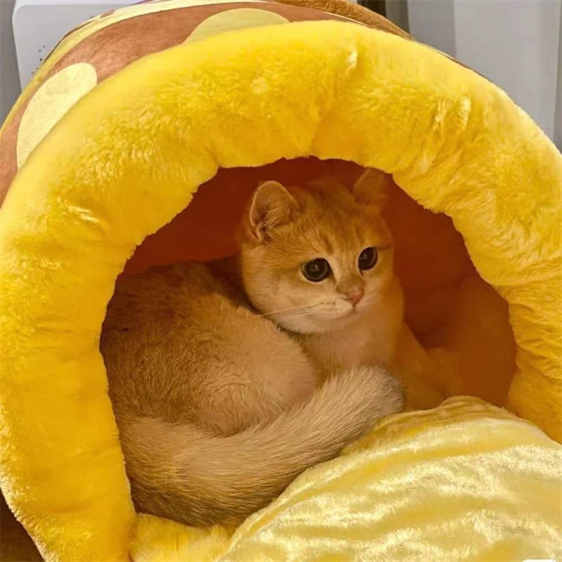 Chat dans un lit en forme de pot de miel pour chat
