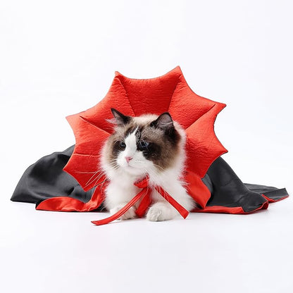 Déguisement Dracula pour chat