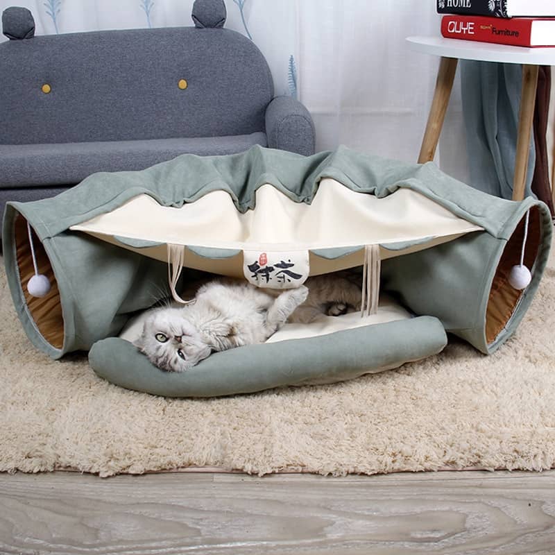 Chat dans un lit pliable avec tunnel pour chat