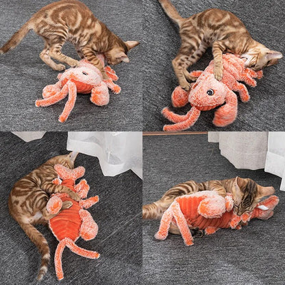Chat qui joue avec le jouet interactif écrevisse