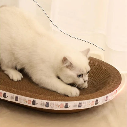 Chat sur notre griffoir ondulé pour chat