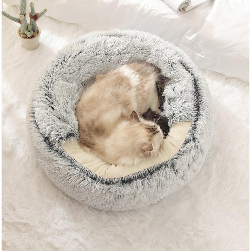 Chat dans notre nid douillet pour chat