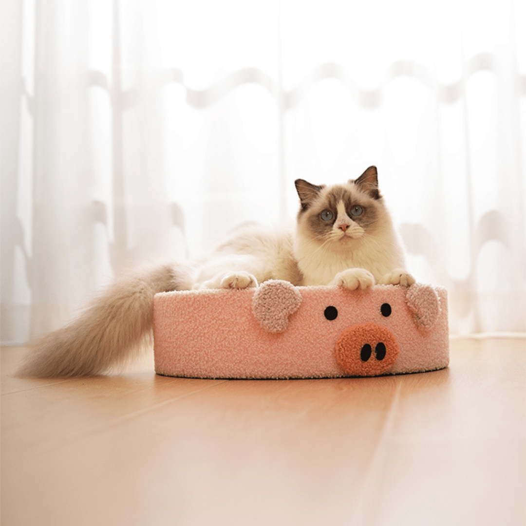 Chat sur un griffoir en forme de cochon