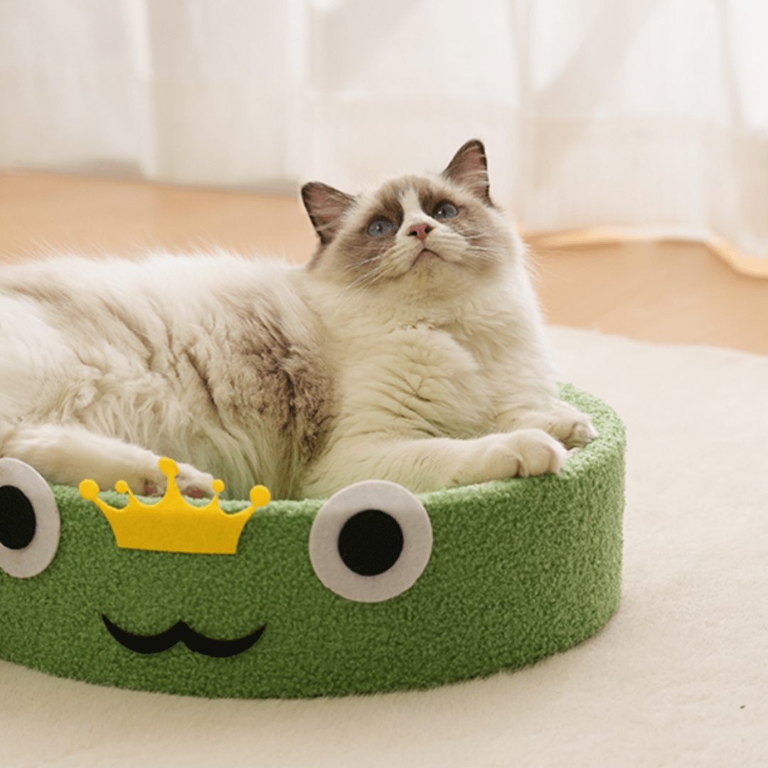 Chat sur un griffoir en forme de grenouille