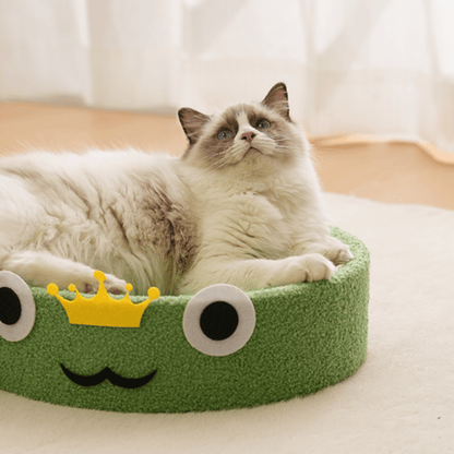 Chat sur un griffoir en forme de grenouille