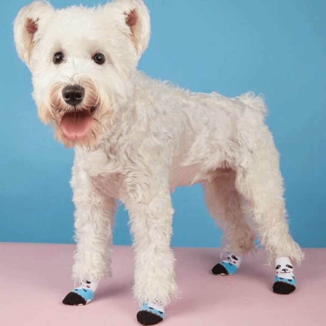 Chaussettes pour chien Panda