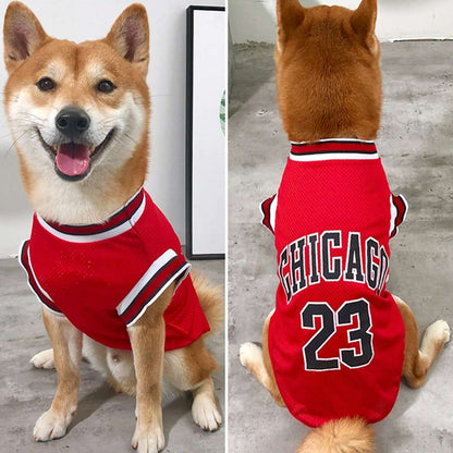 Maillot de basketball pour chien