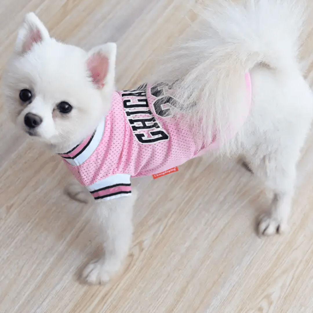 Maillot de basketball pour chien
