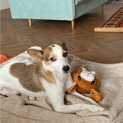 AniBall™ : Balle électronique pour chien