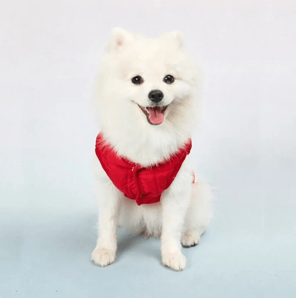 Confort de notre doudoune pour chien