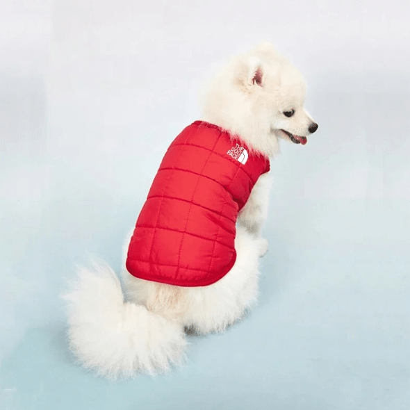 Elégance de notre doudoune pour chien