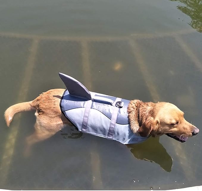 Chien qui nage avec notre gilet de sauvetage requin