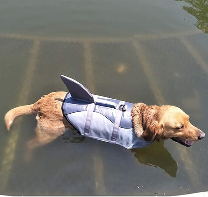 Chien qui nage avec notre gilet de sauvetage requin