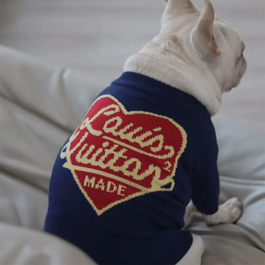 Qualité et confortabilité de notre pull LV pour chien