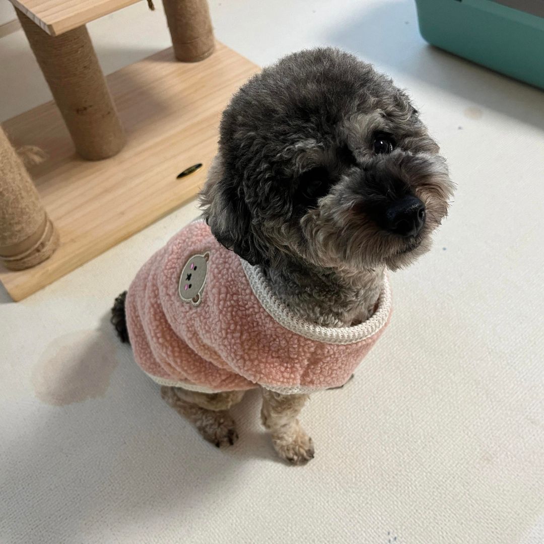 Gilet chaud d'hiver pour chien fabriqué à base de spandex