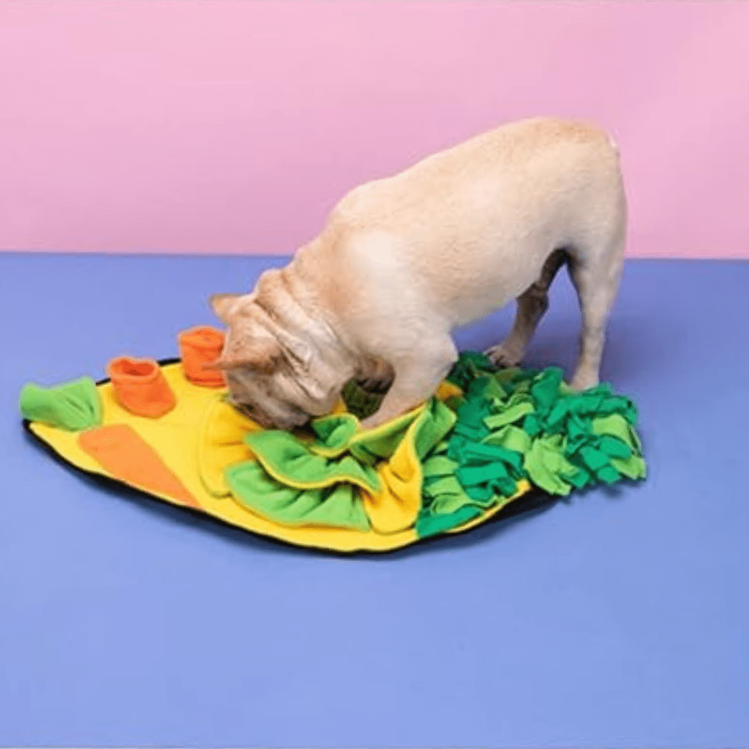 Tapis de fouille pour chien - Radis, avec une base anti-dérapante pour la sécurité