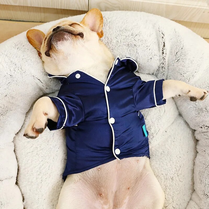 Pyjama en soie bleu pour chien