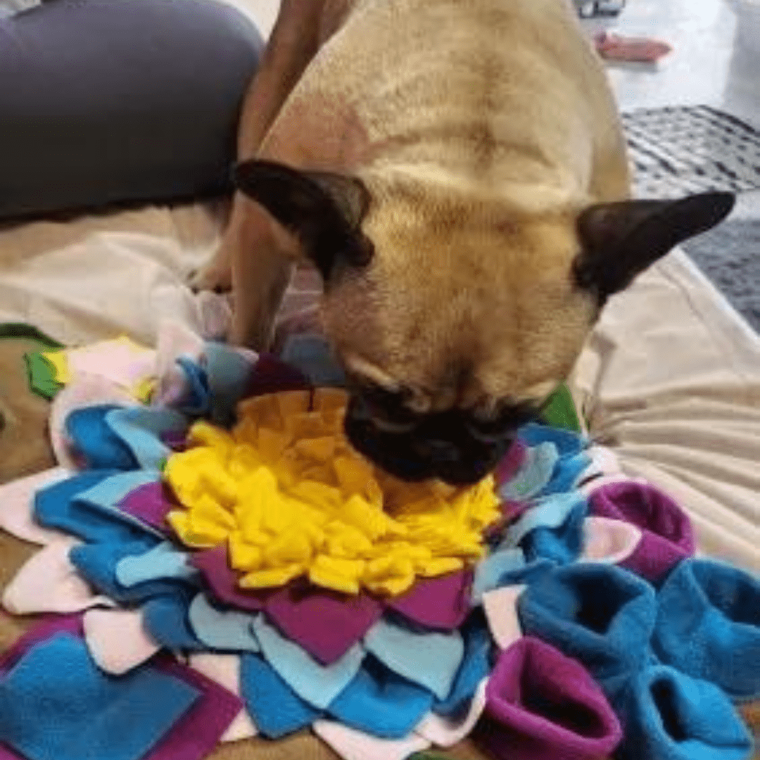 Surface anti-dérapante de notre tapis de fouille pour chien - Grande Fleur