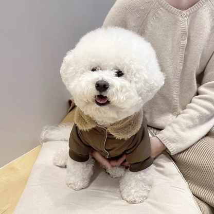 chien avec notre blouson imperméable avec col en fourrure
